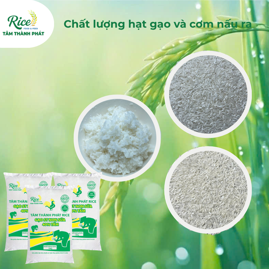 CÔNG TY TNHH SẢN XUẤT THƯƠNG MẠI DỊCH VỤ XUẤT NHẬP KHẨU TÂM THÀNH PHÁT