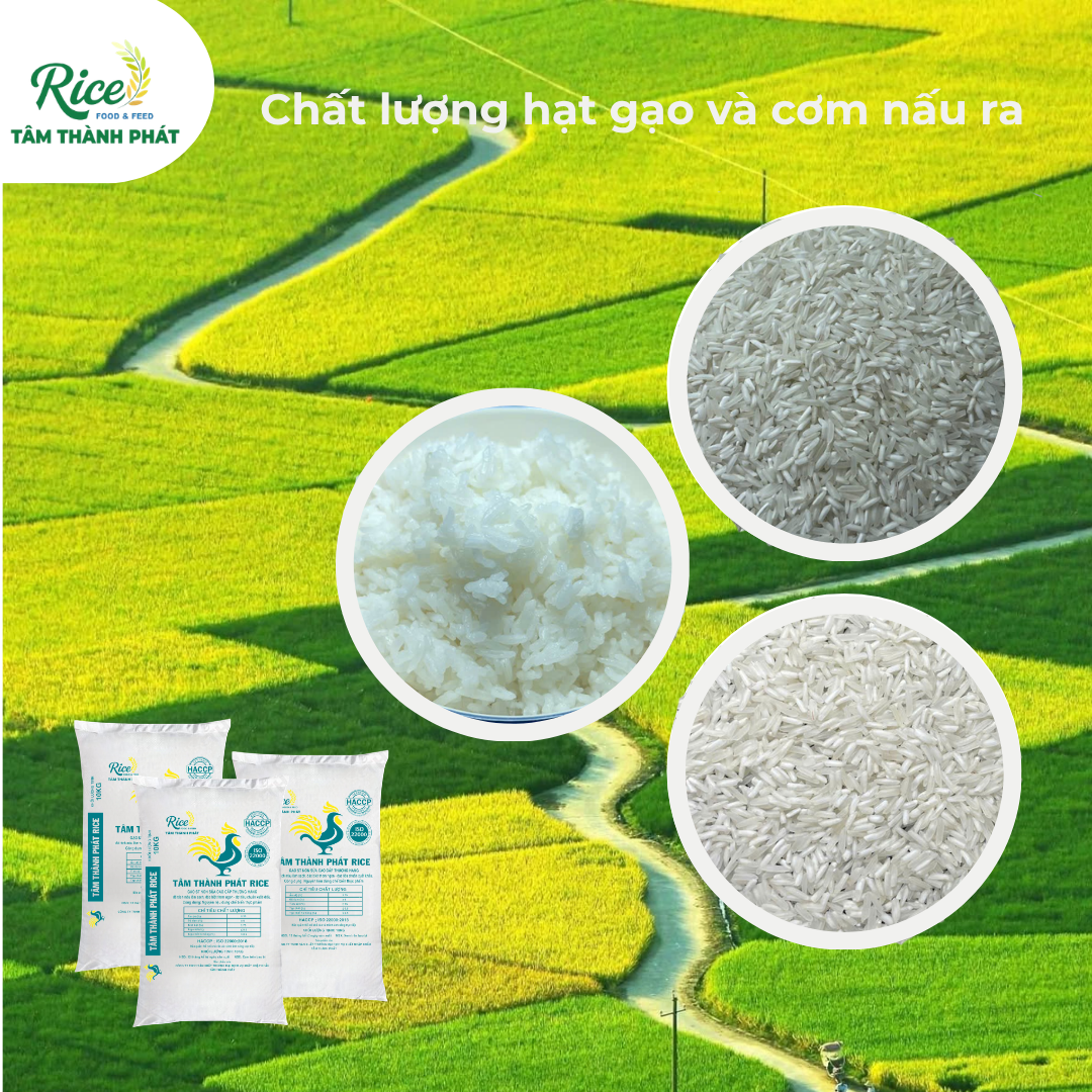 CÔNG TY TNHH SẢN XUẤT THƯƠNG MẠI DỊCH VỤ XUẤT NHẬP KHẨU TÂM THÀNH PHÁT