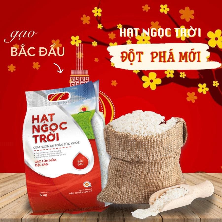 CÔNG TY TNHH SẢN XUẤT THƯƠNG MẠI DỊCH VỤ XUẤT NHẬP KHẨU TÂM THÀNH PHÁT