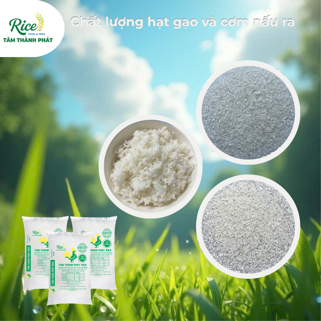 CÔNG TY TNHH SẢN XUẤT THƯƠNG MẠI DỊCH VỤ XUẤT NHẬP KHẨU TÂM THÀNH PHÁT