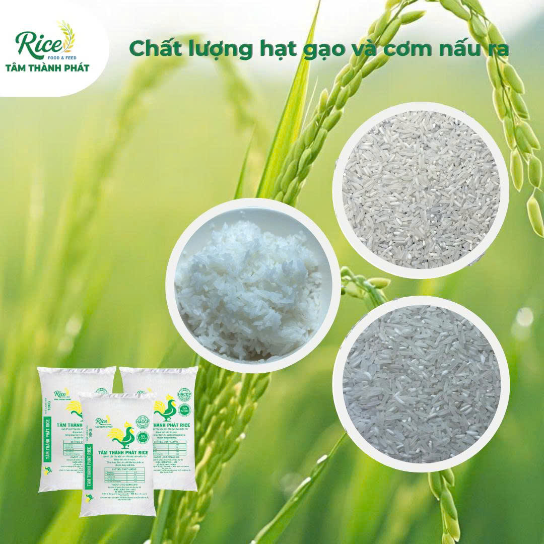 CÔNG TY TNHH SẢN XUẤT THƯƠNG MẠI DỊCH VỤ XUẤT NHẬP KHẨU TÂM THÀNH PHÁT